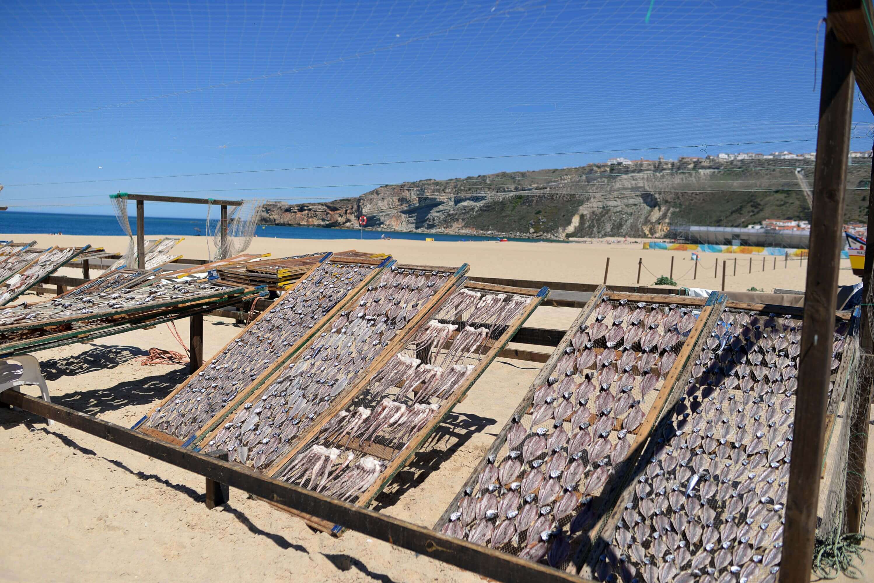 Oro & Nero: Encantos Home