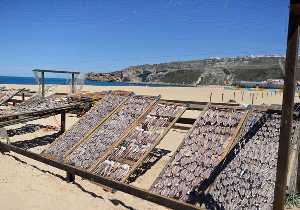 Nazare Artesan Fish Drying 2