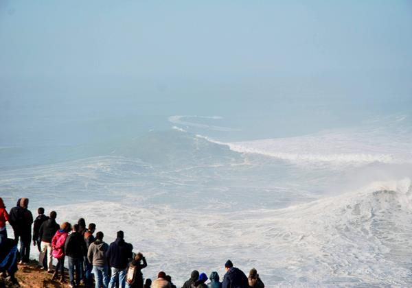 Nazare Big Waves Turtle