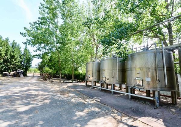 Tanks Of Wine At The Quinta Da Barreira
