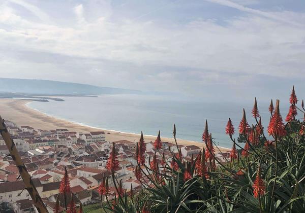 Nazare Beach View From The Hill