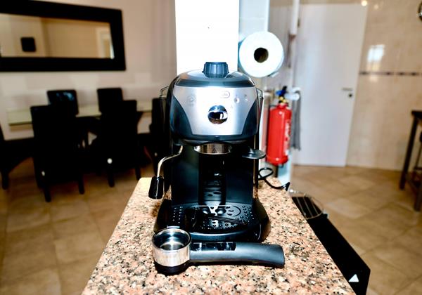 Palm Tree Rental Home Expresso Machine