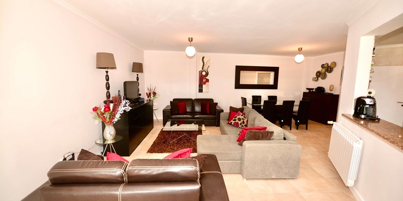 Living Area Apartment Palm Tree Silver Coast Holiday Homes