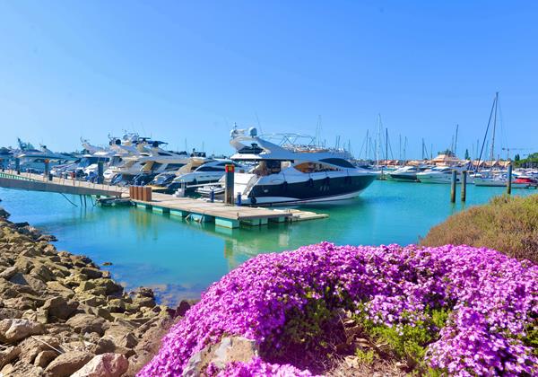 Flowers At The Marina In Vilamoura