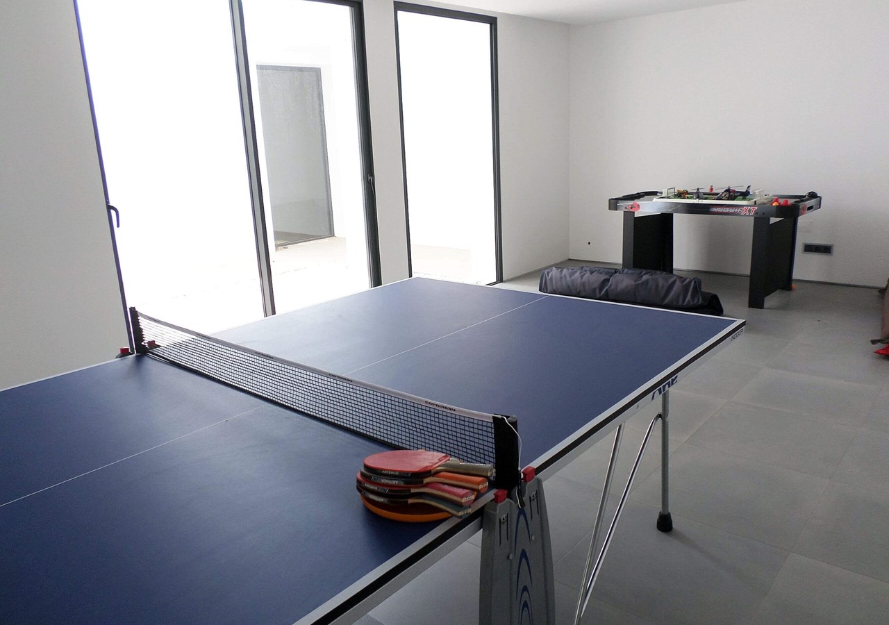 Ping pong table