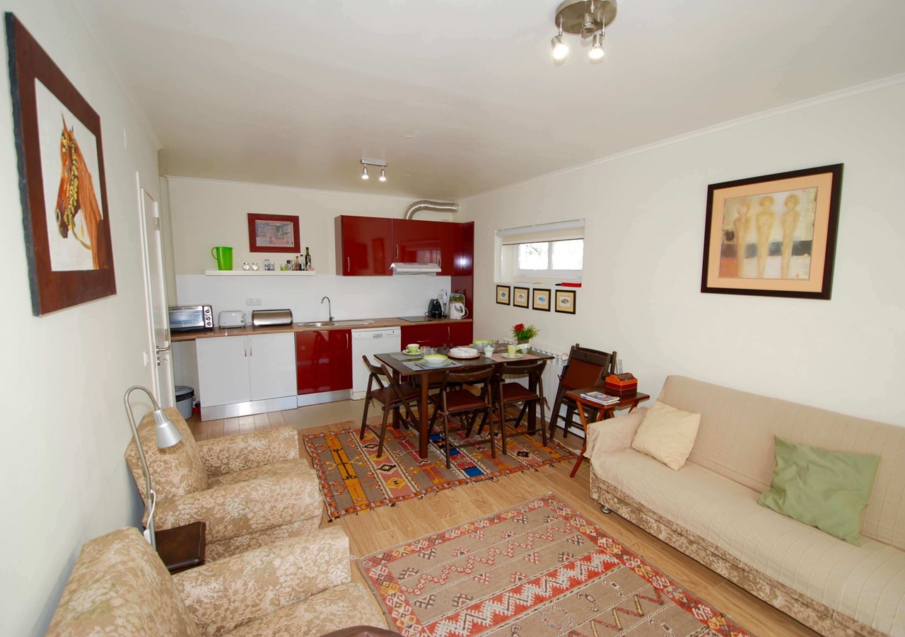 First Lounge With Kitchen And Dining Area