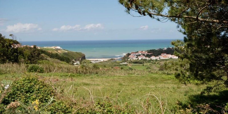 View from the property