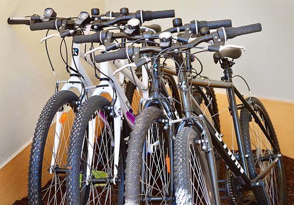 Bikes For Guests In Holiday Home In Sao Martinho Do Porto