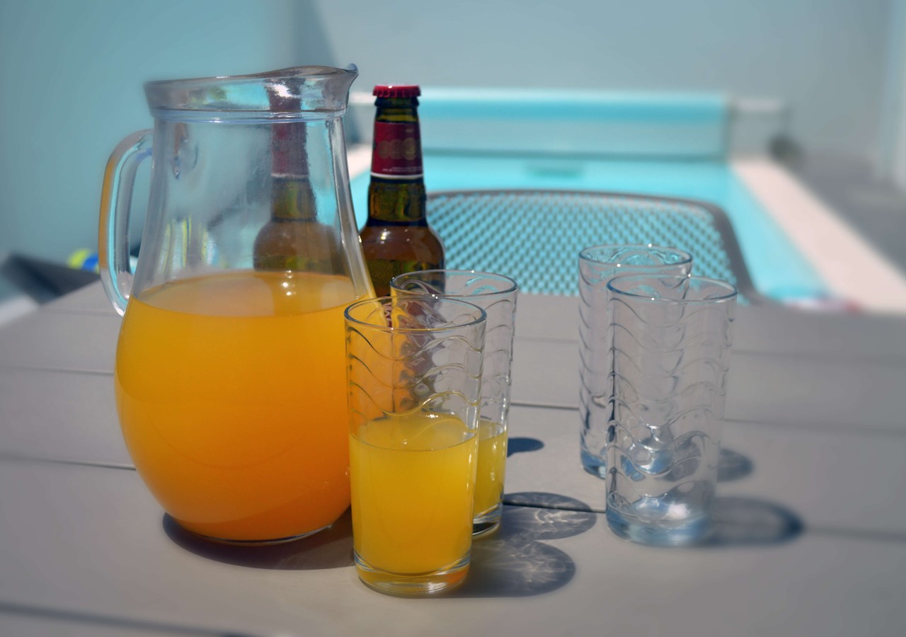 Refresh Yourself Around Your Private Pool In Salir Do Porto