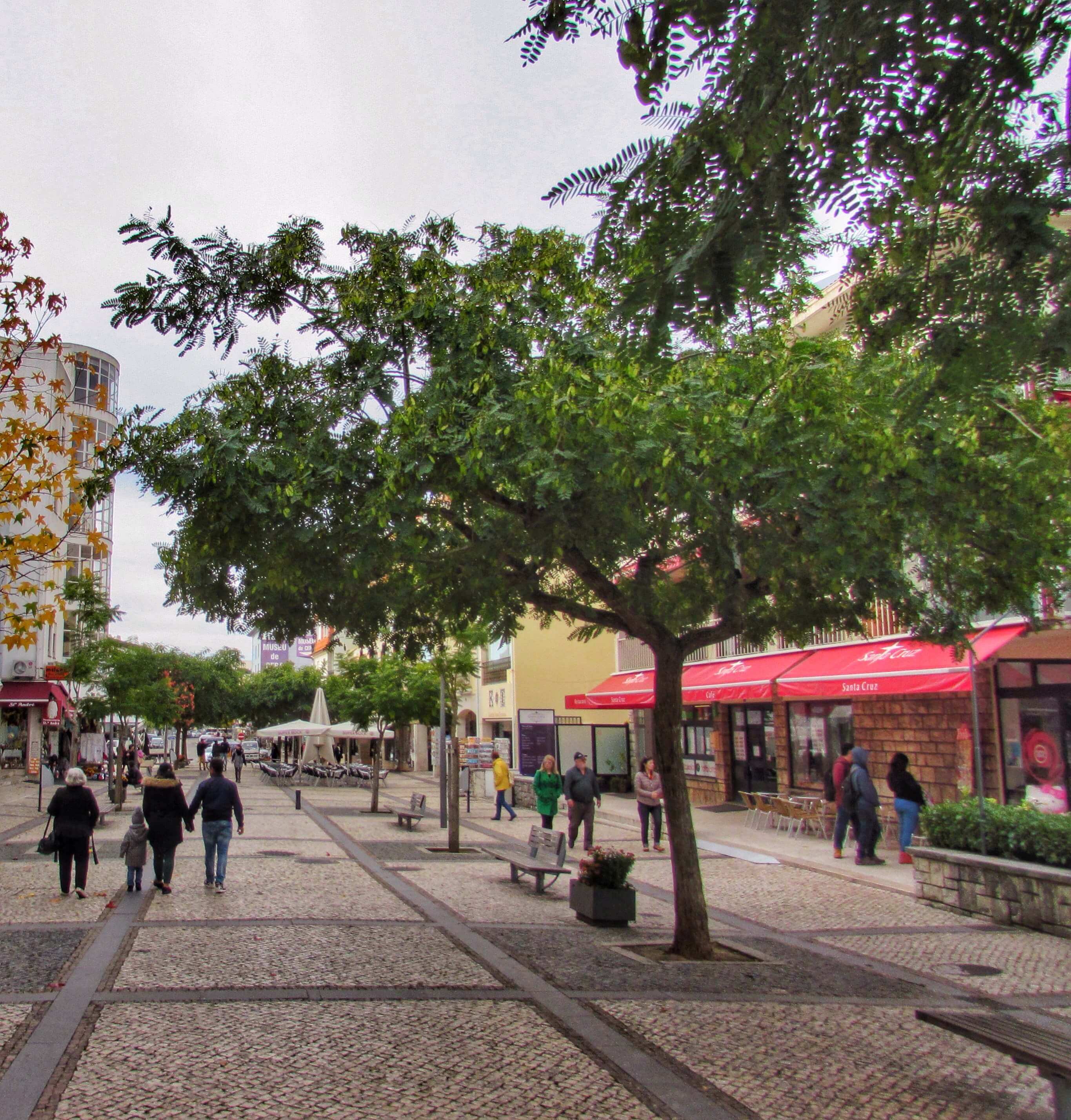 Many Bars In Old Quarter Fatima