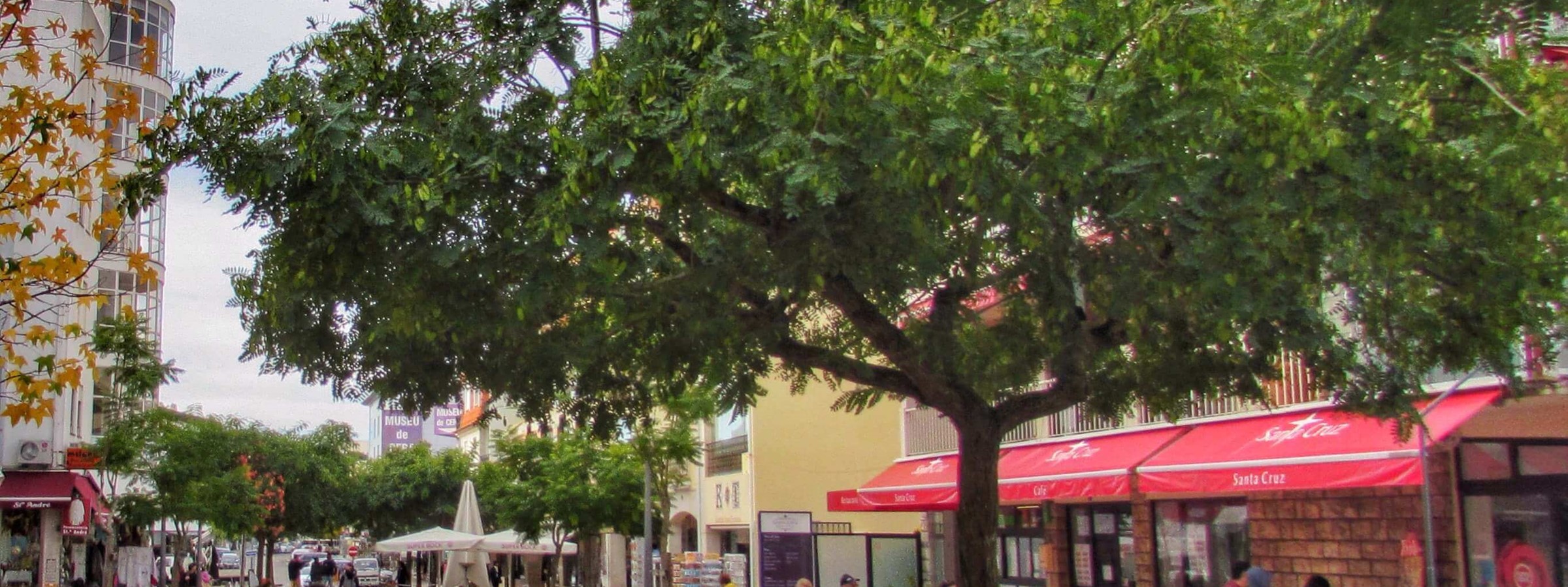 Many Bars In Old Quarter Fatima