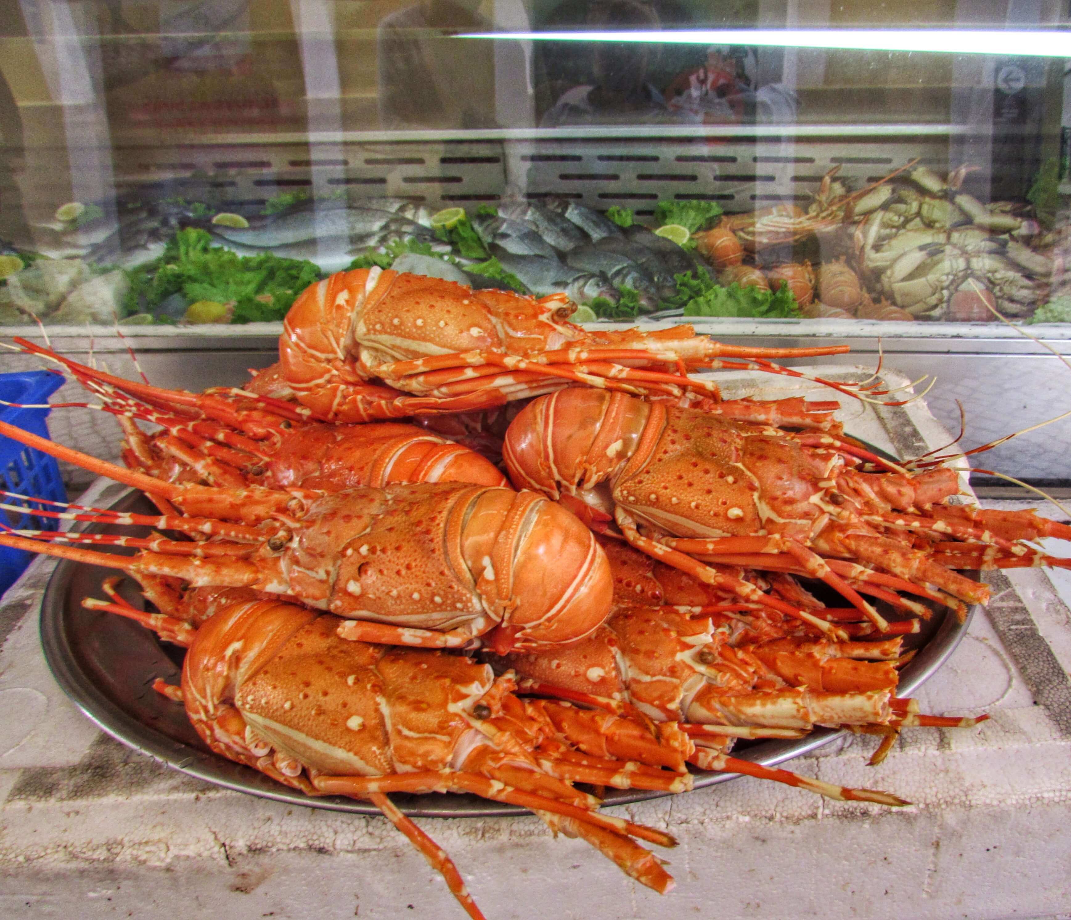 Abundant Fresh Seafood In Nazare