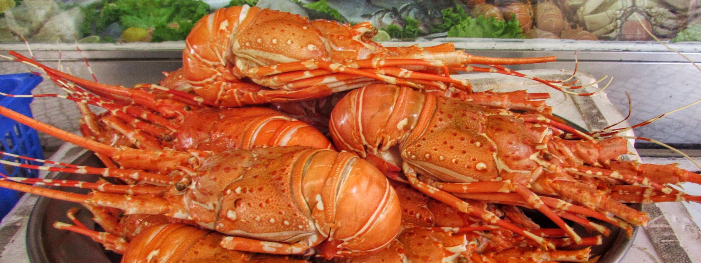 Abundant Fresh Seafood In Nazare