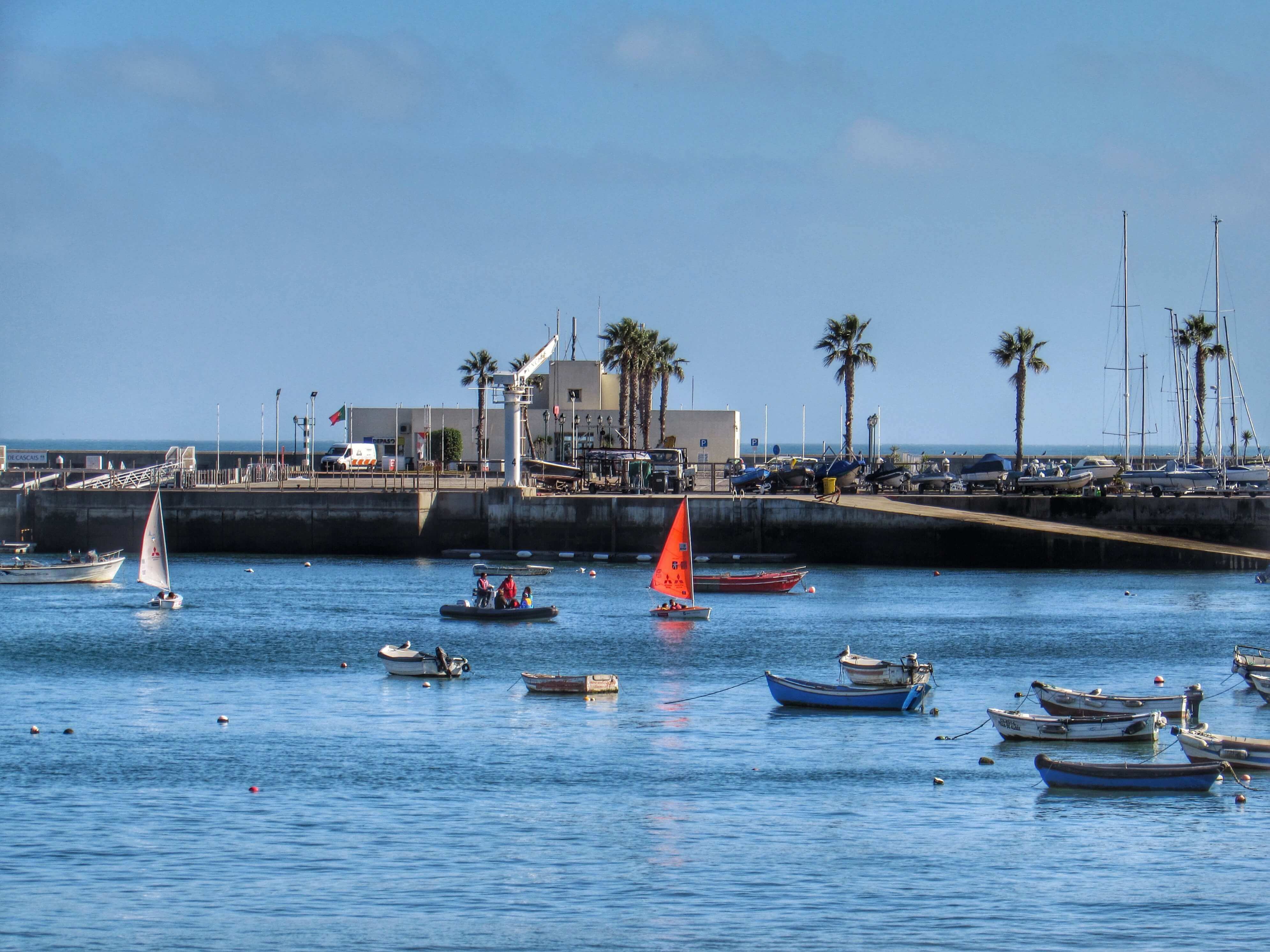 Fresh Fish Is On Most Menus In Cascais