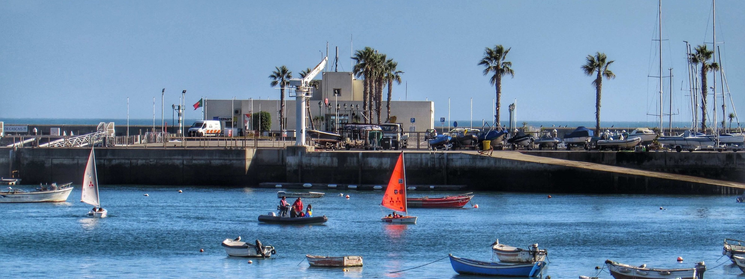 Fresh Fish Is On Most Menus In Cascais
