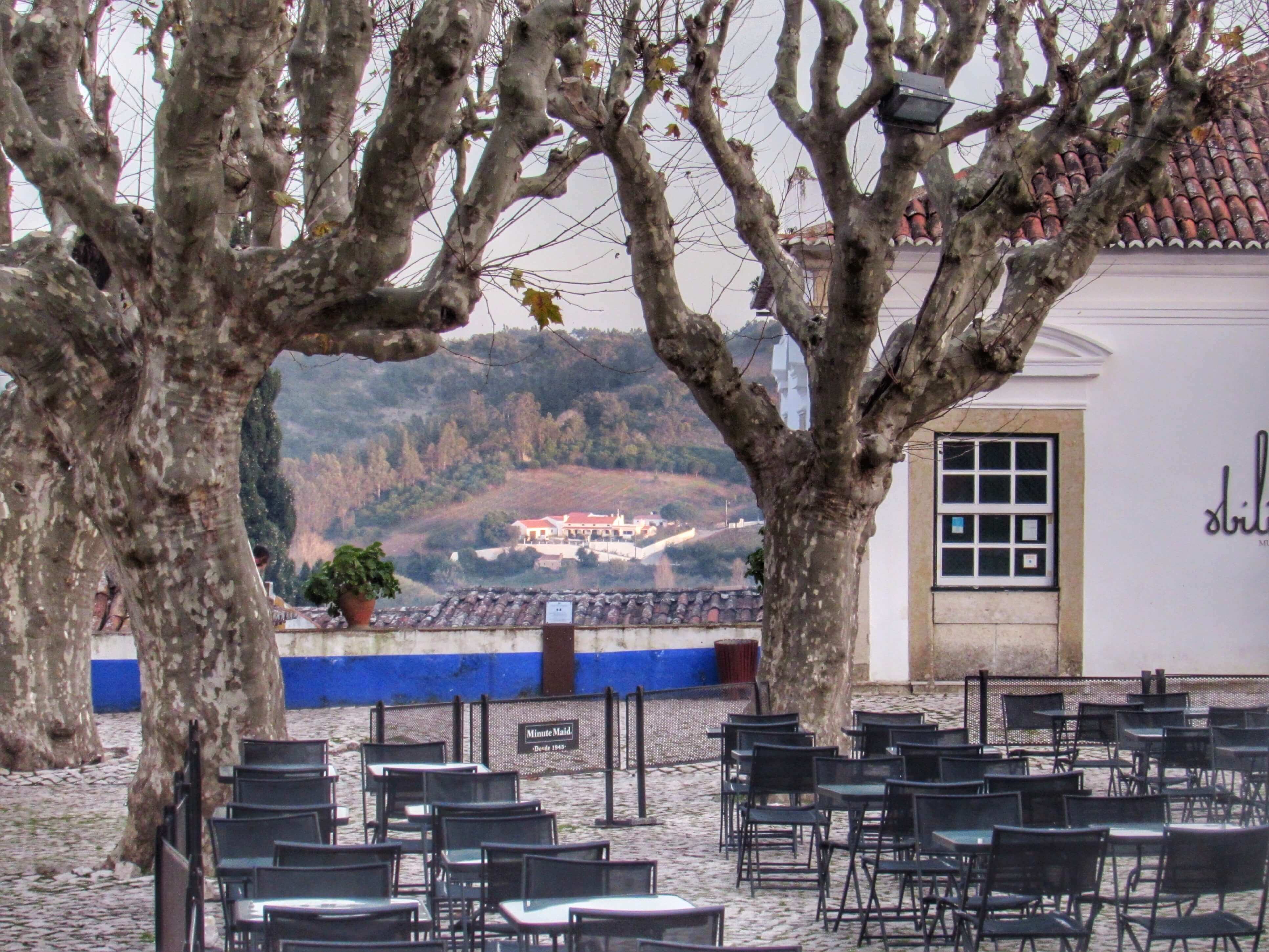 A Glass Of Wine In Obidos Offers Vineyard Views For Miles