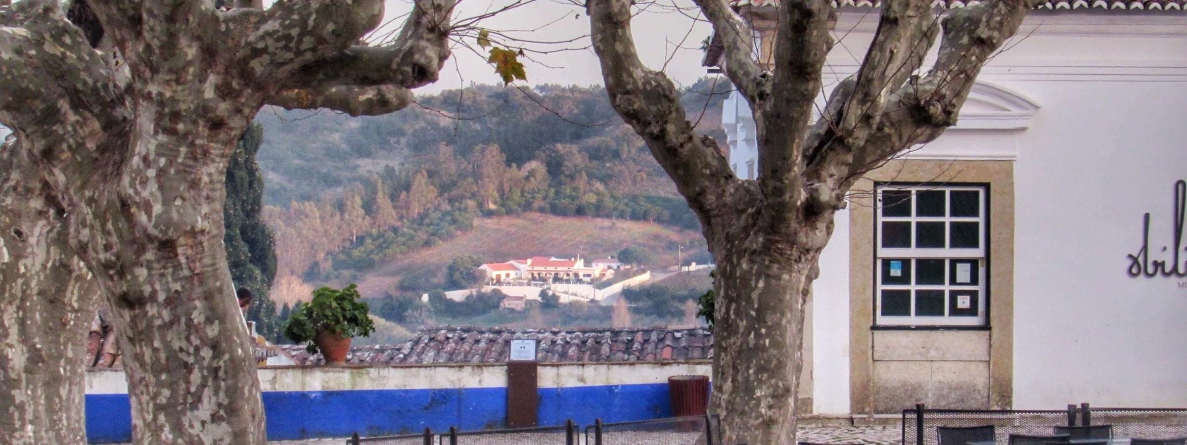 A Glass Of Wine In Obidos Offers Vineyard Views For Miles