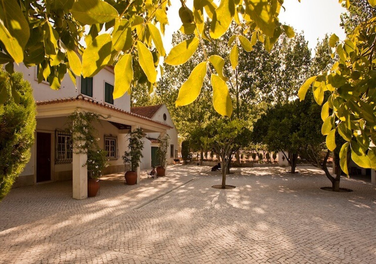 Quinta da Barreira vineyard