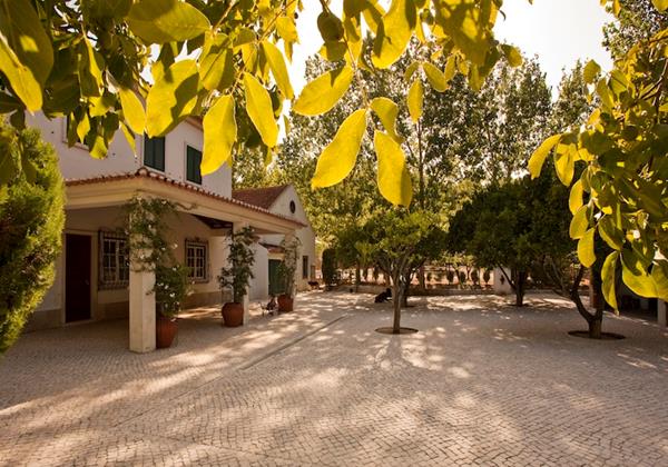 Quinta da Barreira vineyard