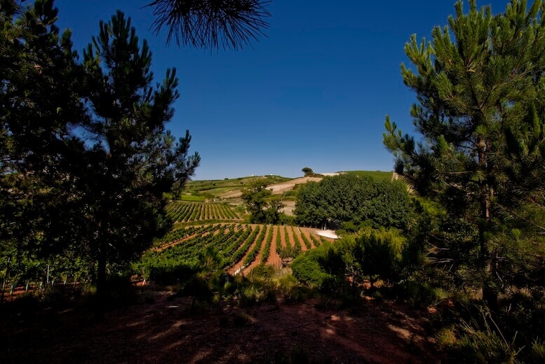 View from Quinta da Barreira