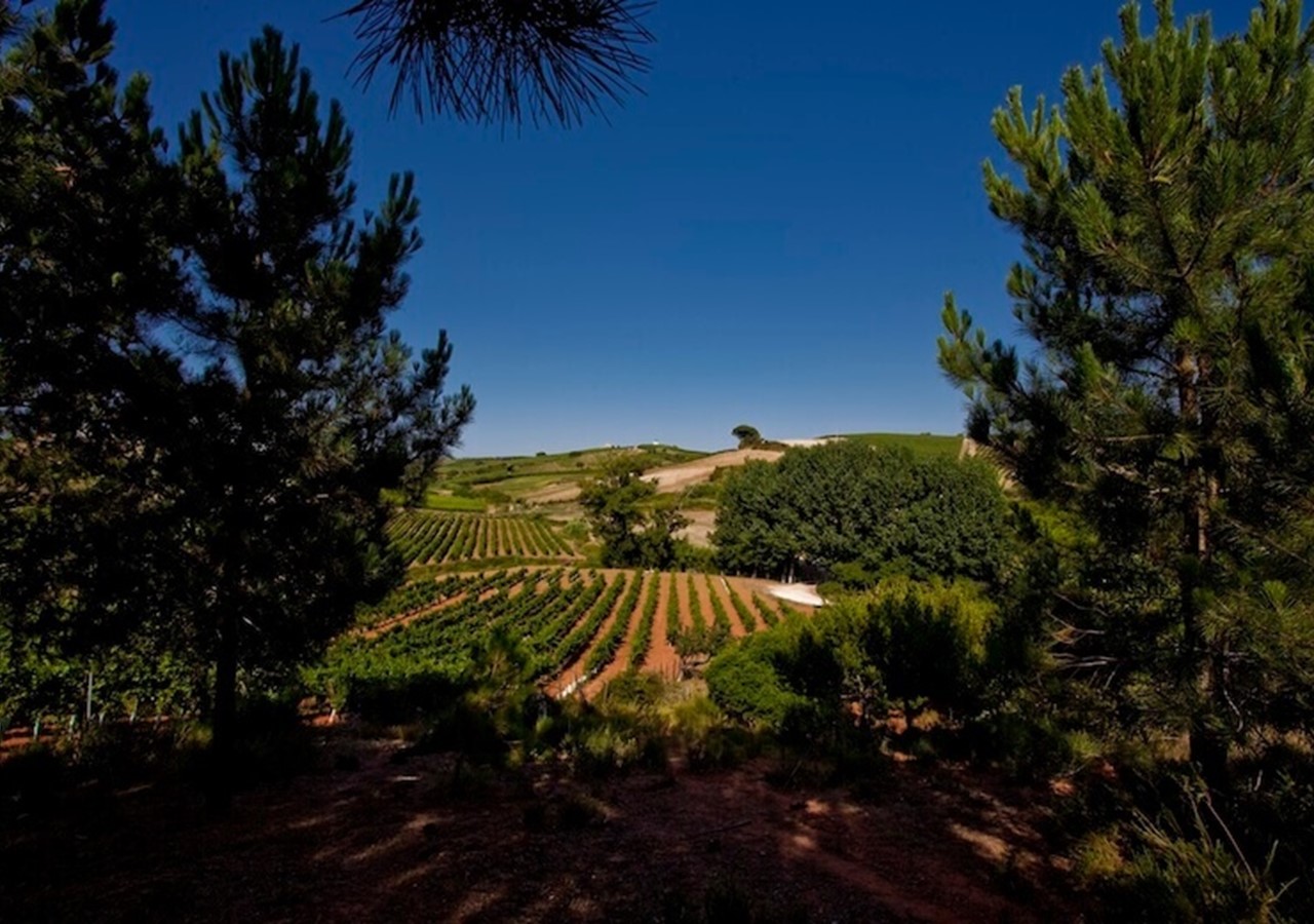 View from Quinta da Barreira